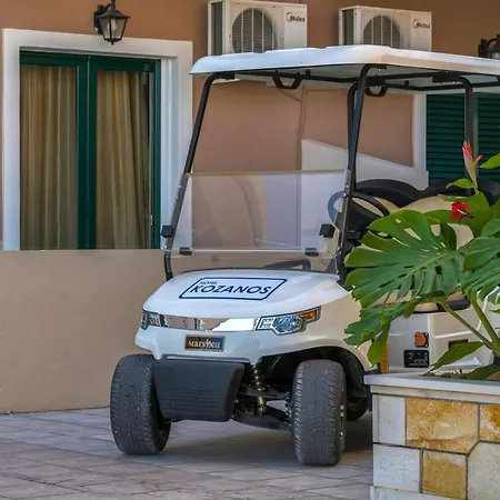 Kozanos With Private Pool Apartment Ammoudi